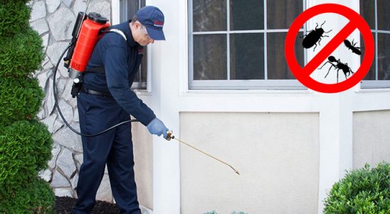 Yayladağı Gümüşkurt İlaçlama böcek ilaçlama ve haşere kontrolü — ilaclama-tr.com